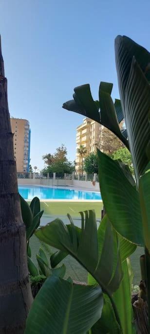 Elegante Alojamiento Con Piscina A 200 M Del Mar. Apartment เบนัลมาเดนา ภายนอก รูปภาพ